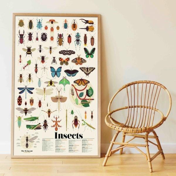 Discovery Stickers - Insects