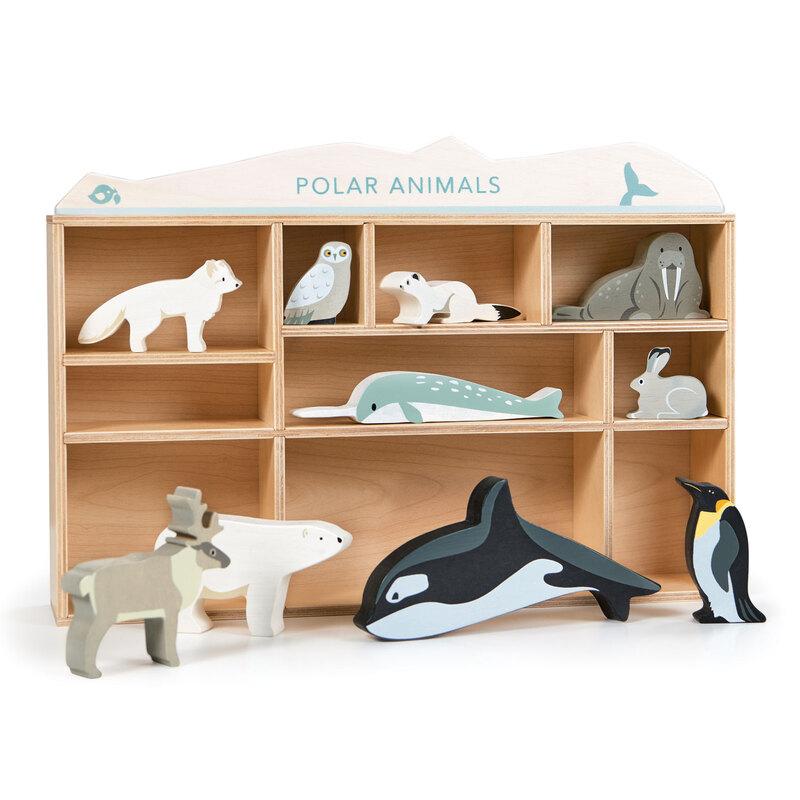 Display Shelf - Polar Animals