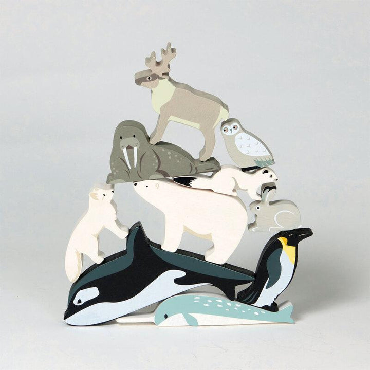 Display Shelf - Polar Animals