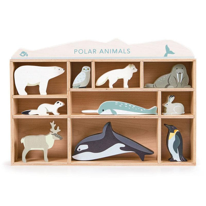 Display Shelf - Polar Animals