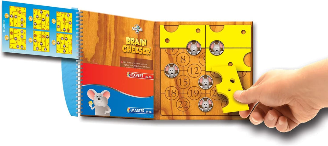 Magnetic Puzzle Game - Brain Cheeser