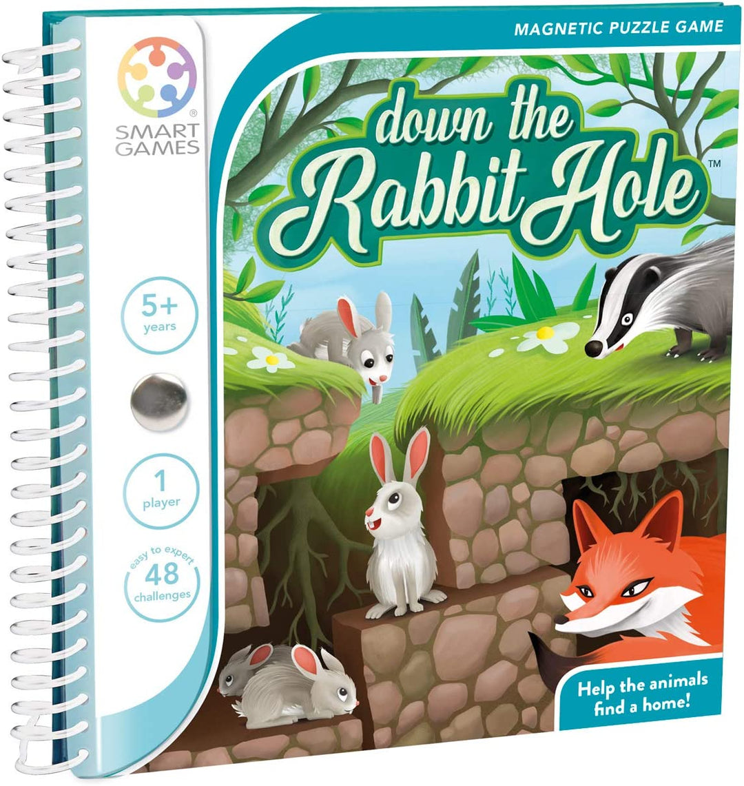 Magnetic Puzzle Game - Down the Rabbit Hole