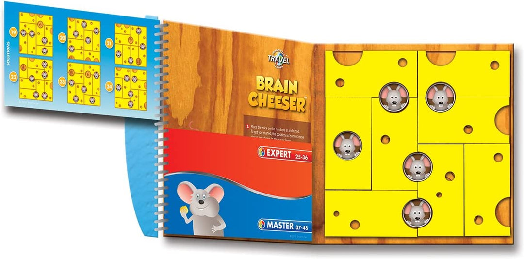 Magnetic Puzzle Game - Brain Cheeser