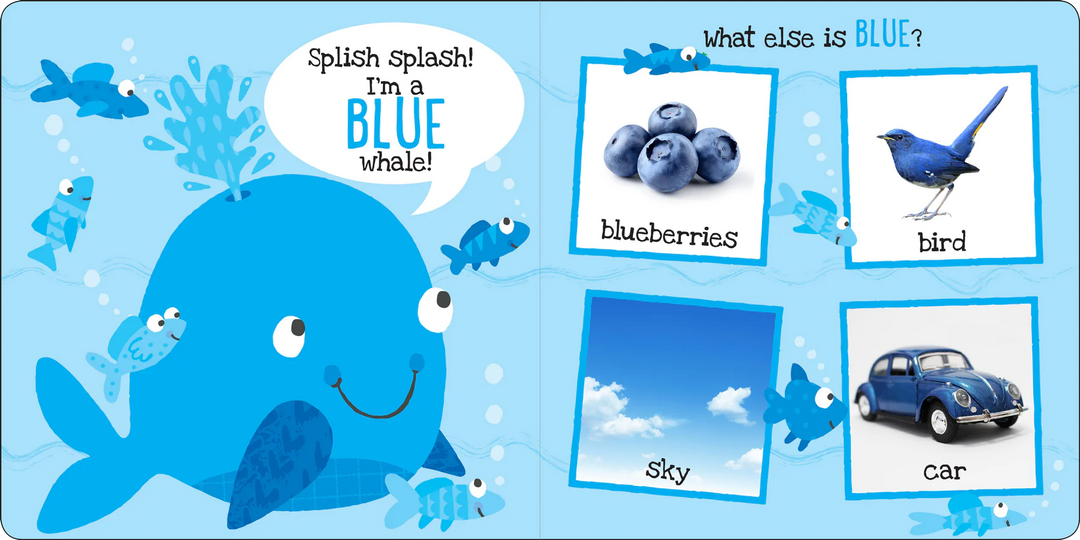 My First Book - Colours