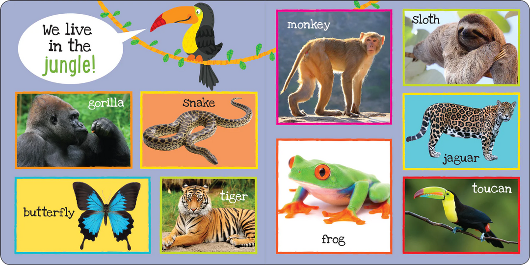 My First Book - 101 Animals