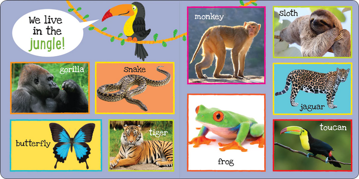 My First Book - 101 Animals