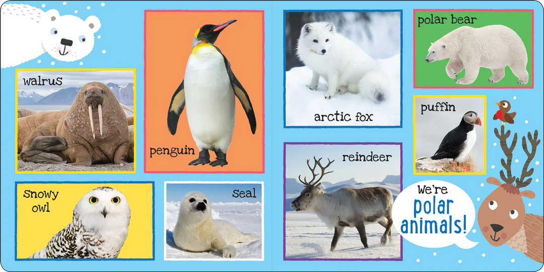 My First Book - 101 Animals