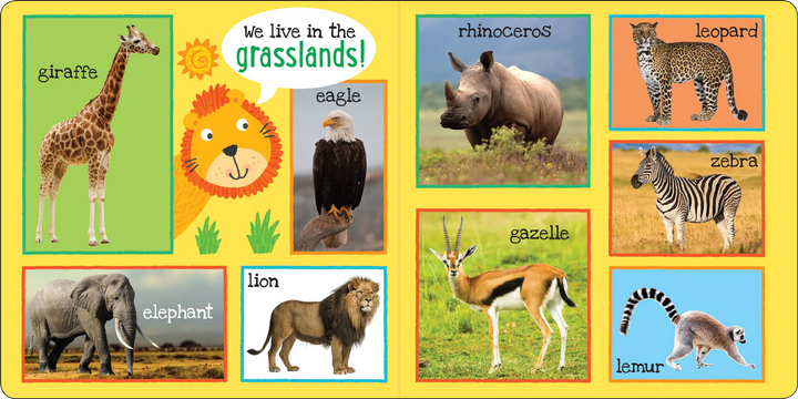 My First Book - 101 Animals