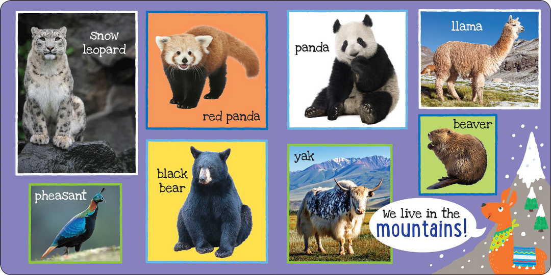 My First Book - 101 Animals