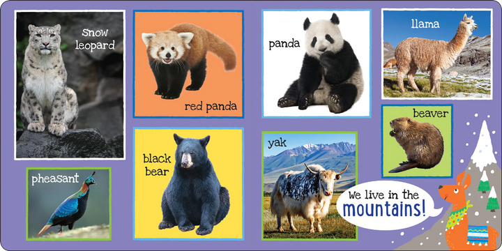 My First Book - 101 Animals