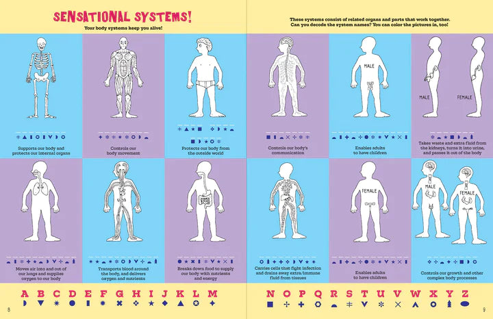 Activity Book - The Human Body