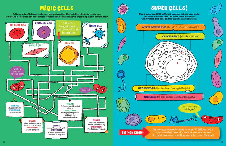 Activity Book - The Human Body