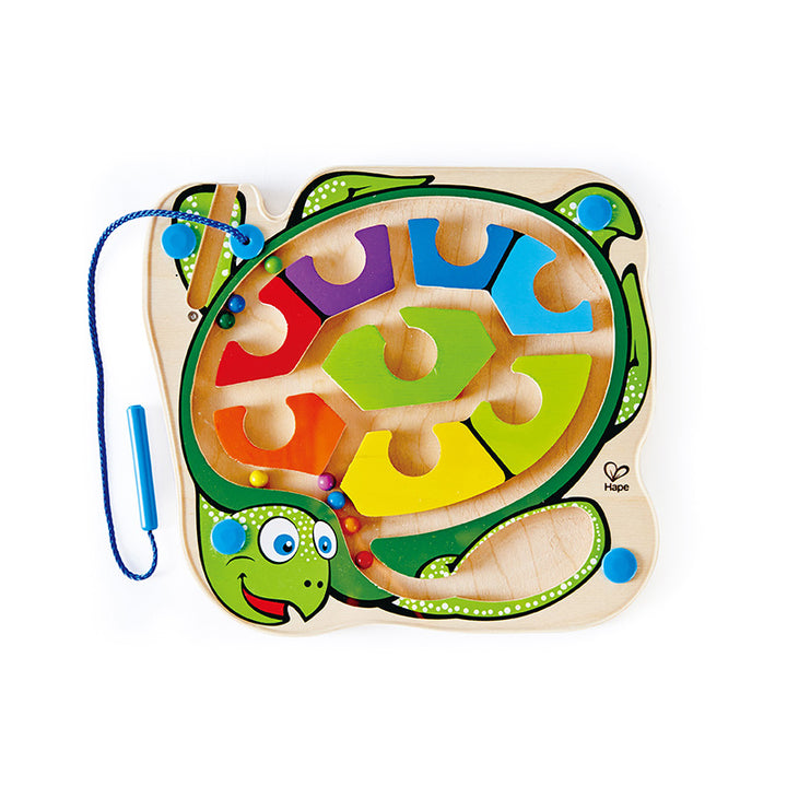 Colourback Sea Turtle