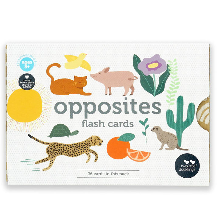 Opposites Flash Cards