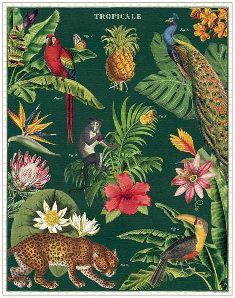 Poster - Tropicale