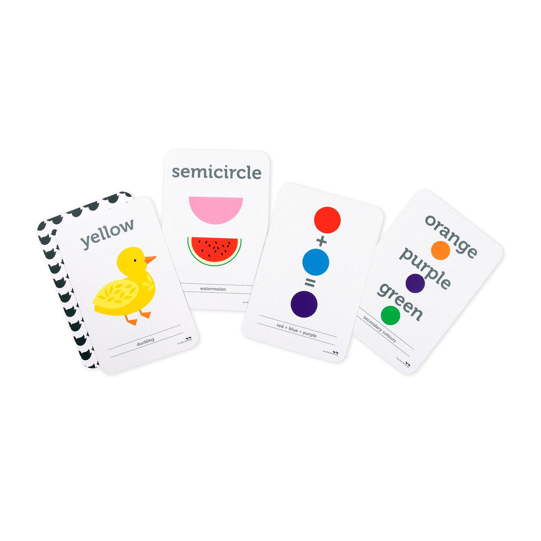 Colours and Shape Flash Cards
