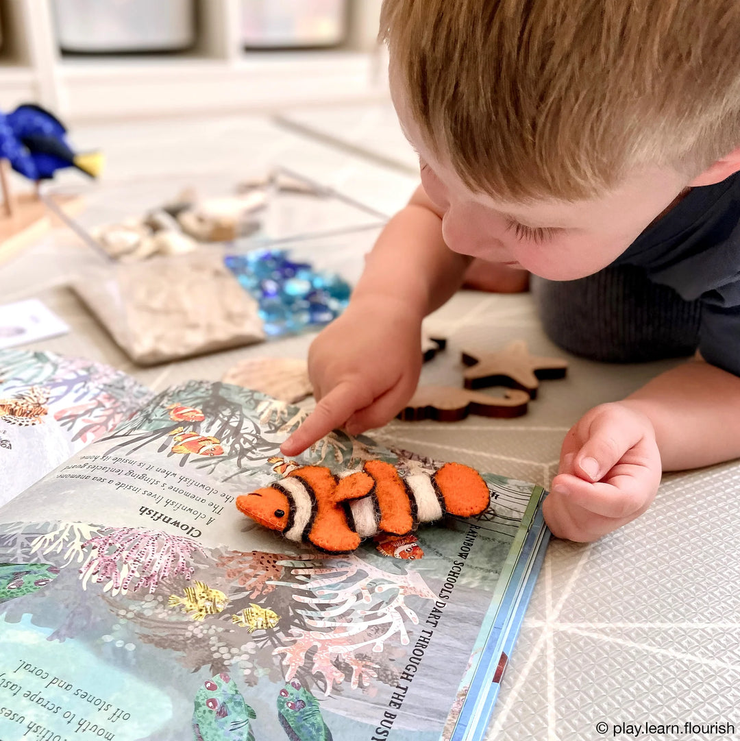 Finger Puppet Set - Australian Coral Reef
