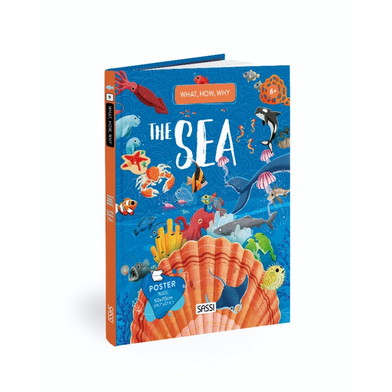 What, How, Why - The Sea