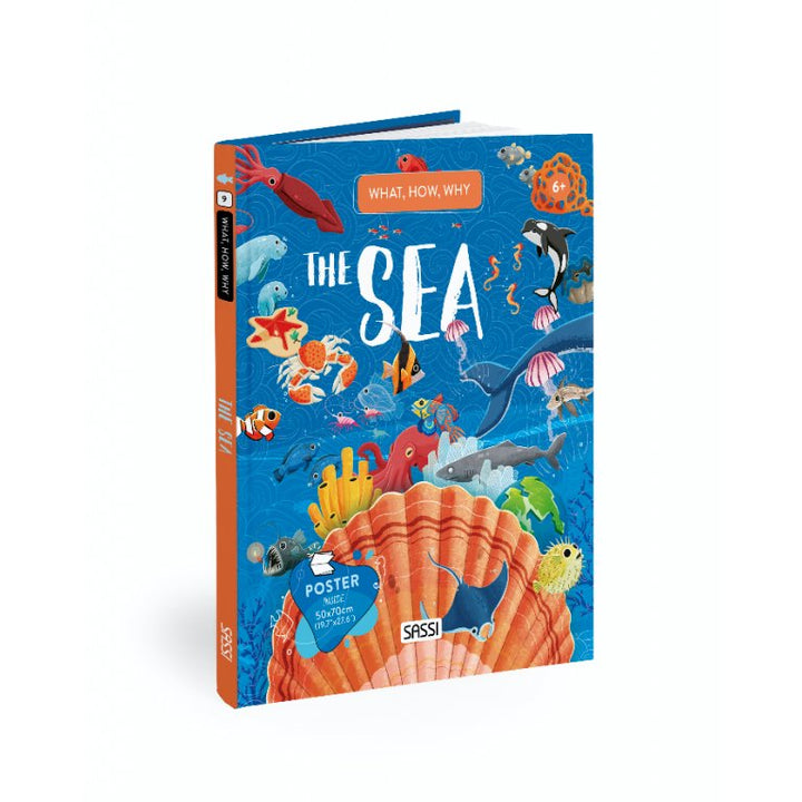 What, How, Why - The Sea